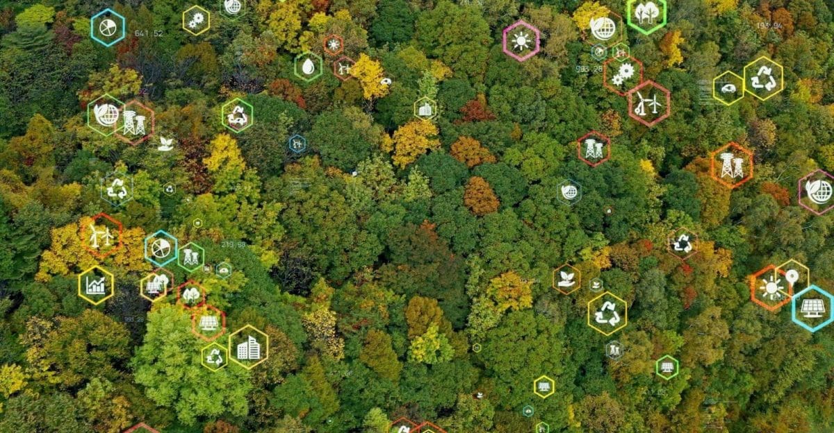 OGC Environmental Data Retrieval Server Implementation